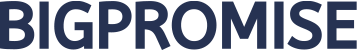 BIGPROMISE Logo
